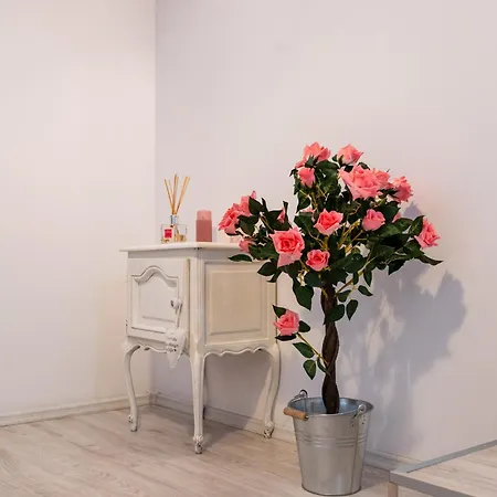 The Bucket - Rose Old Town House With Jacuzzi & Mountain View *